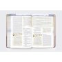 Biblia NBLA Cronológica de Estudio
